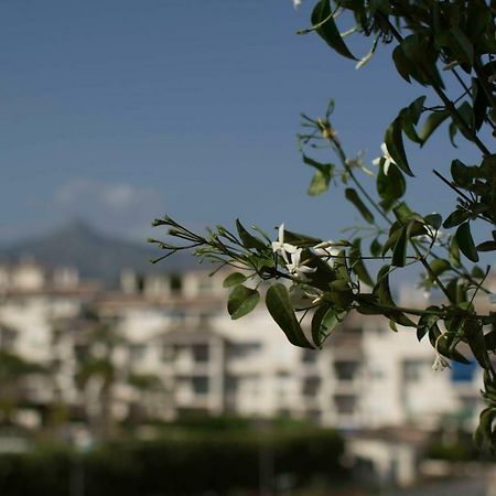 Cozy Apartment Banus Marbella Eksteriør bilde